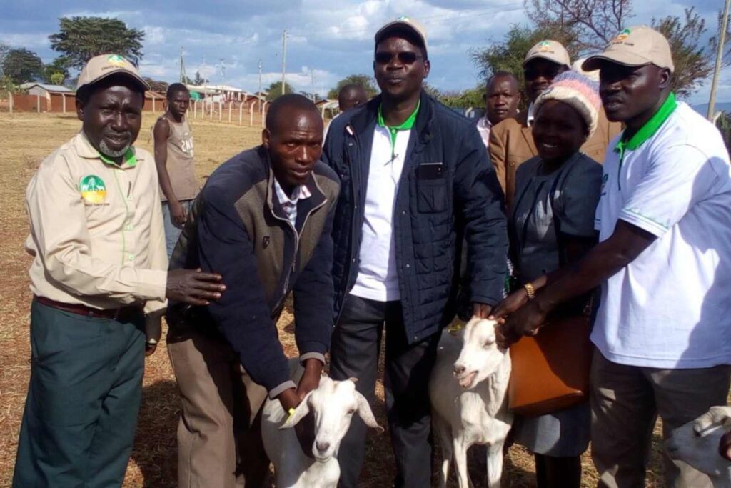 Governor Lonyangapuo distributes 298 Galla goats to farmers